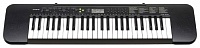  CASIO CTK-245 